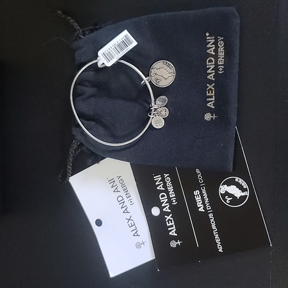 ALEX AND ANI